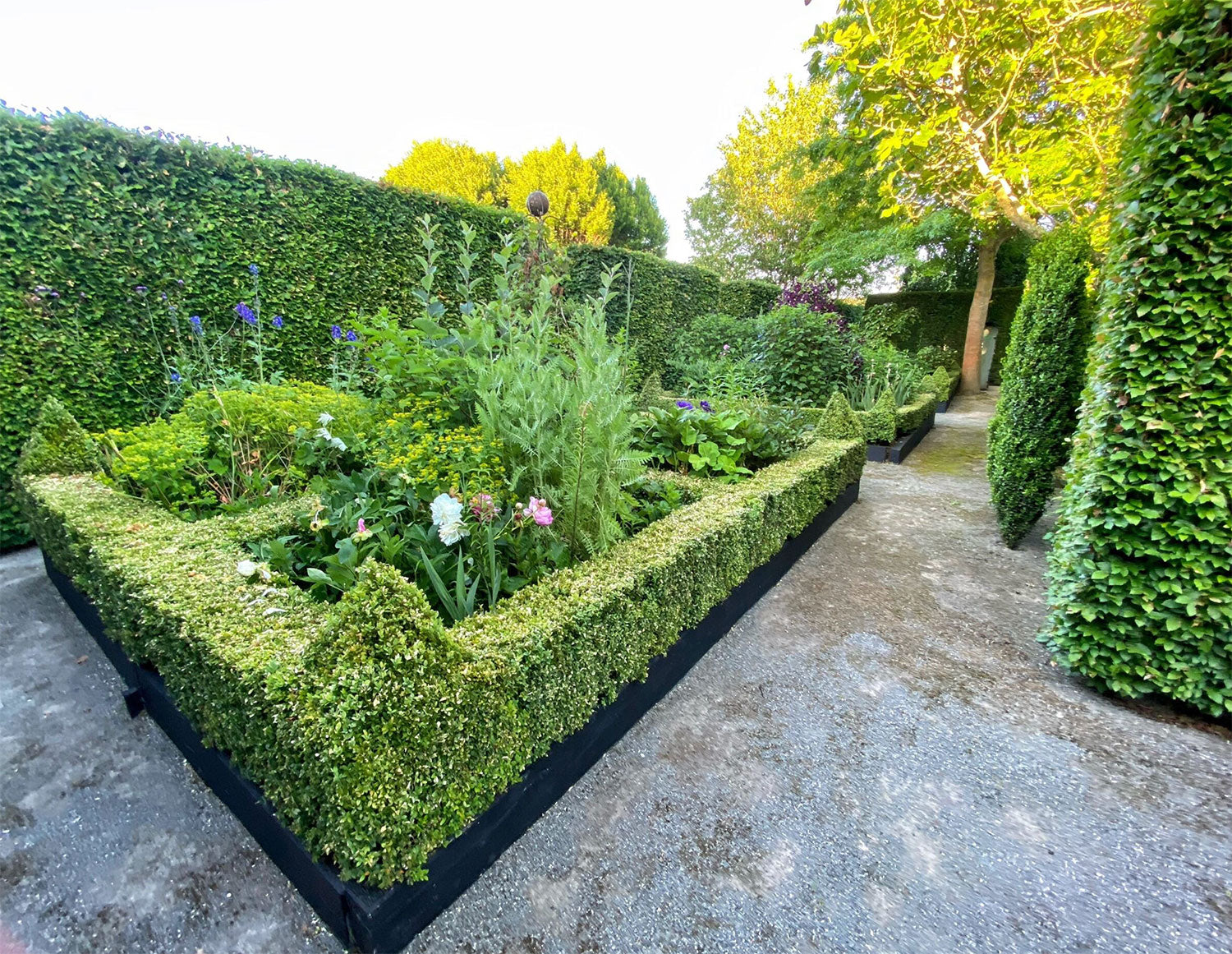 Flower garden with hedge border