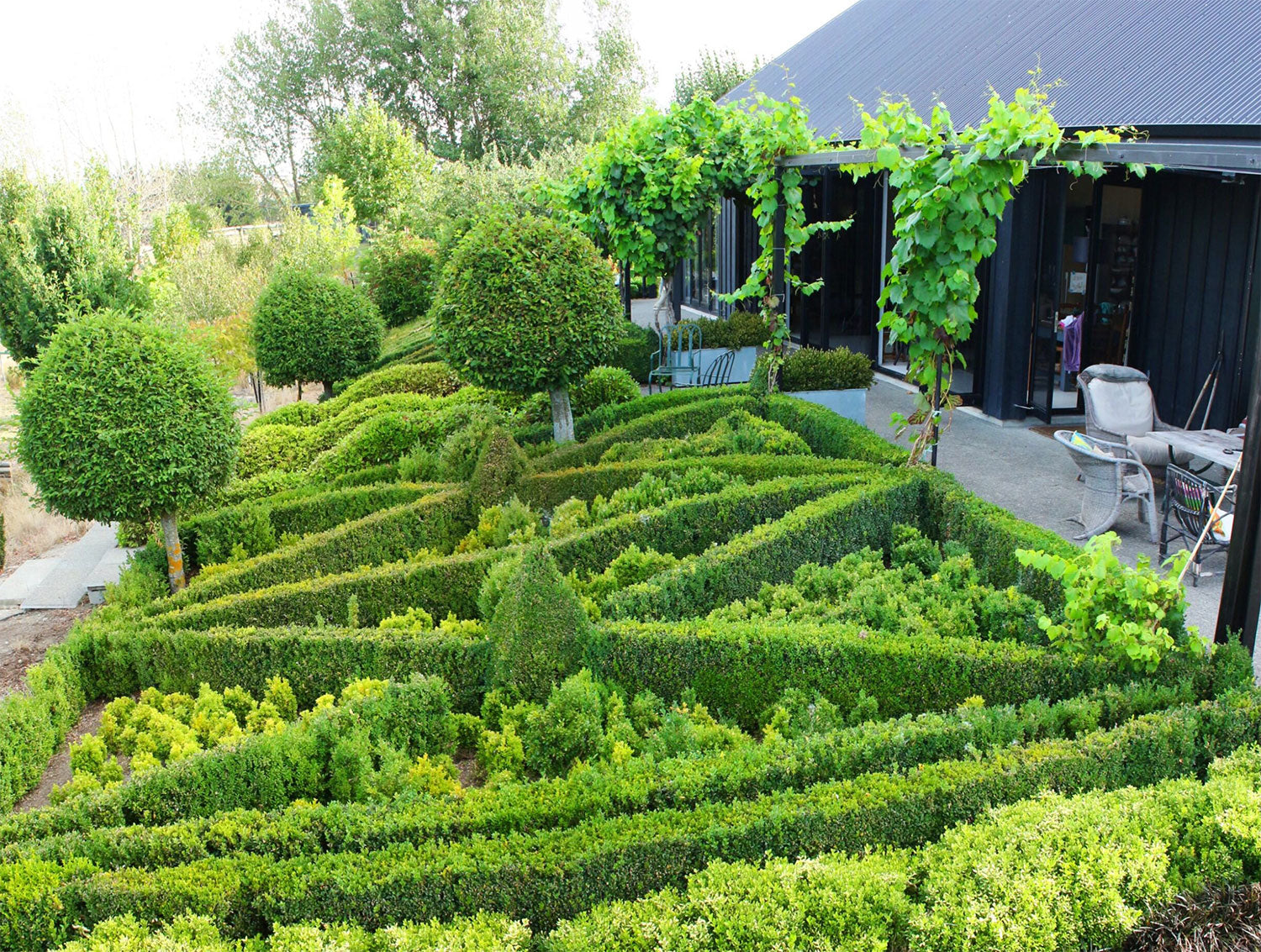 Intricate box hedge design