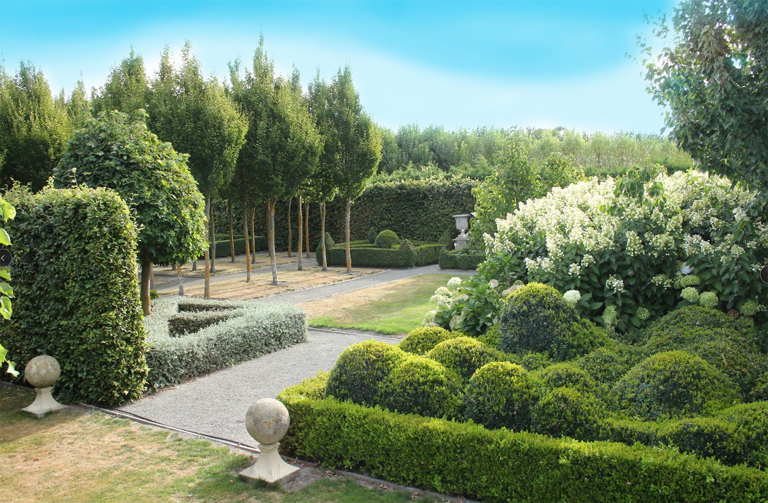 Garden design of hedges, trees and flowers