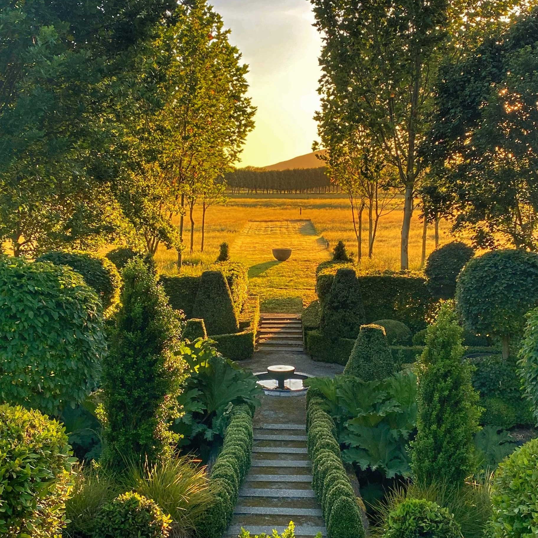 Garden path leading to field