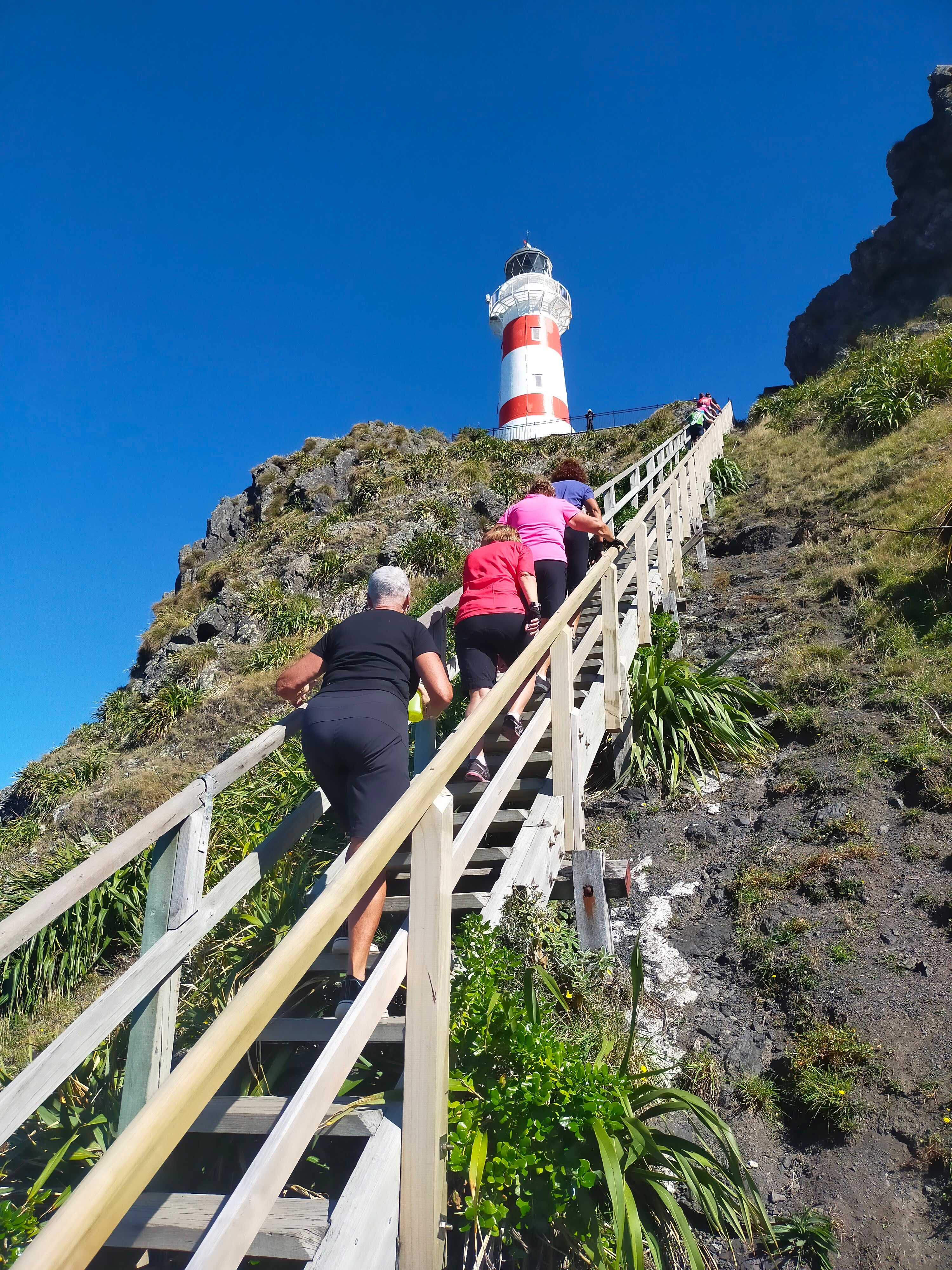 It's only 252 steps to the top! Cape palliser Lighthose