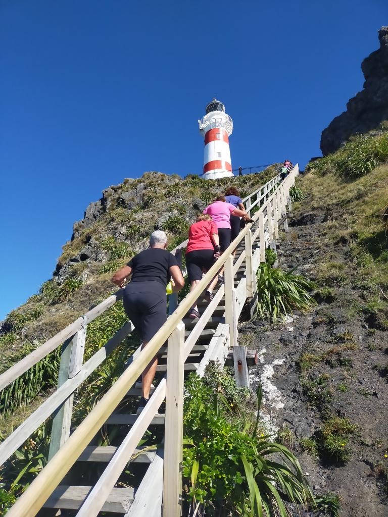 It's only 252 steps to the top! Cape palliser Lighthose