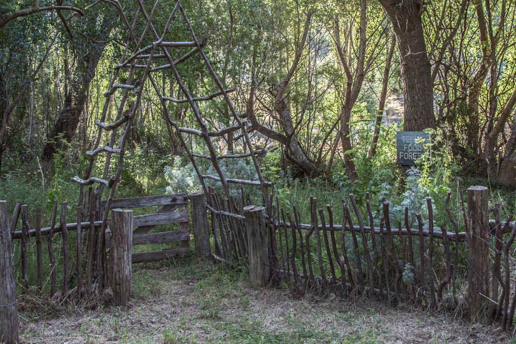 Entrance to the main Tinui Food Forest