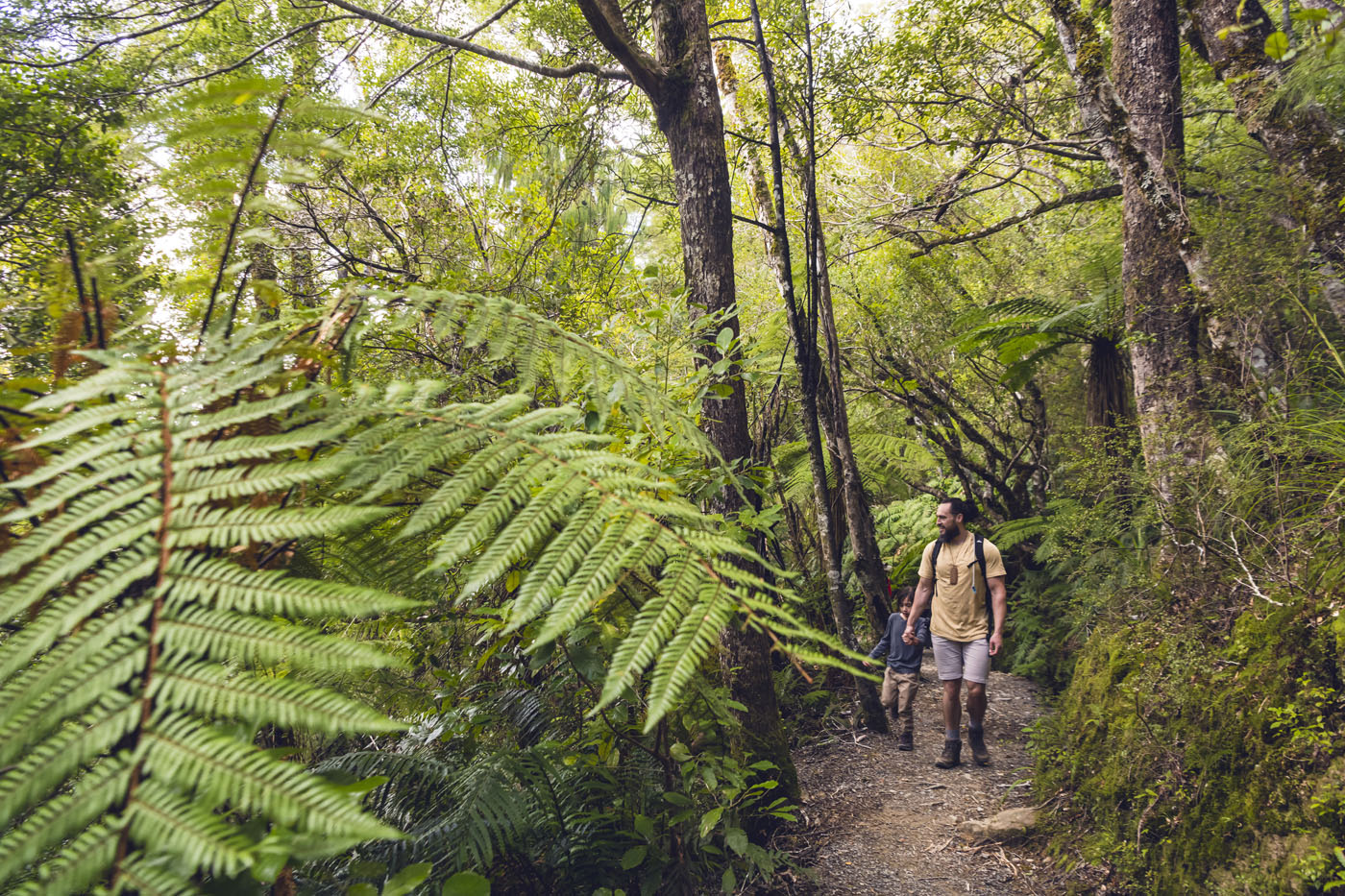 Dad and son walking on bush track 