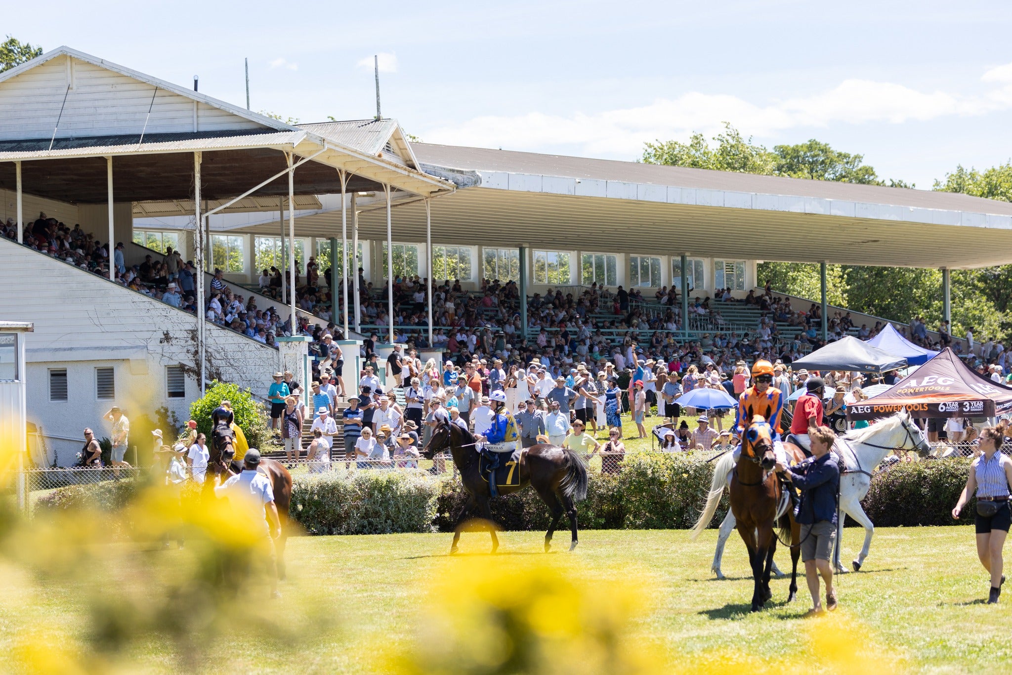 Tauherenikau Races