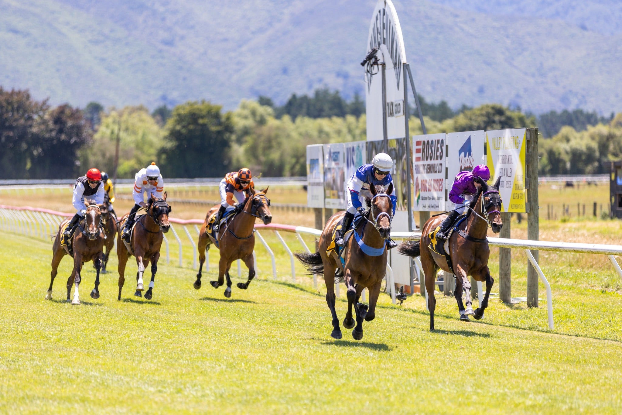 Tauherenikau Races