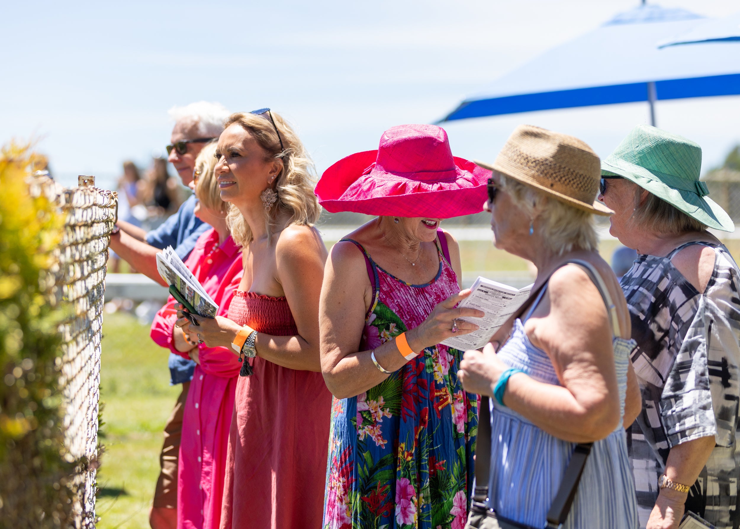 Tauherenikau Races