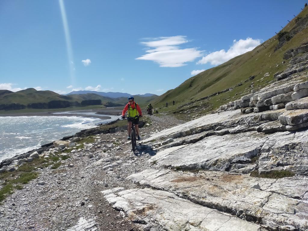 Te Kaukau Point