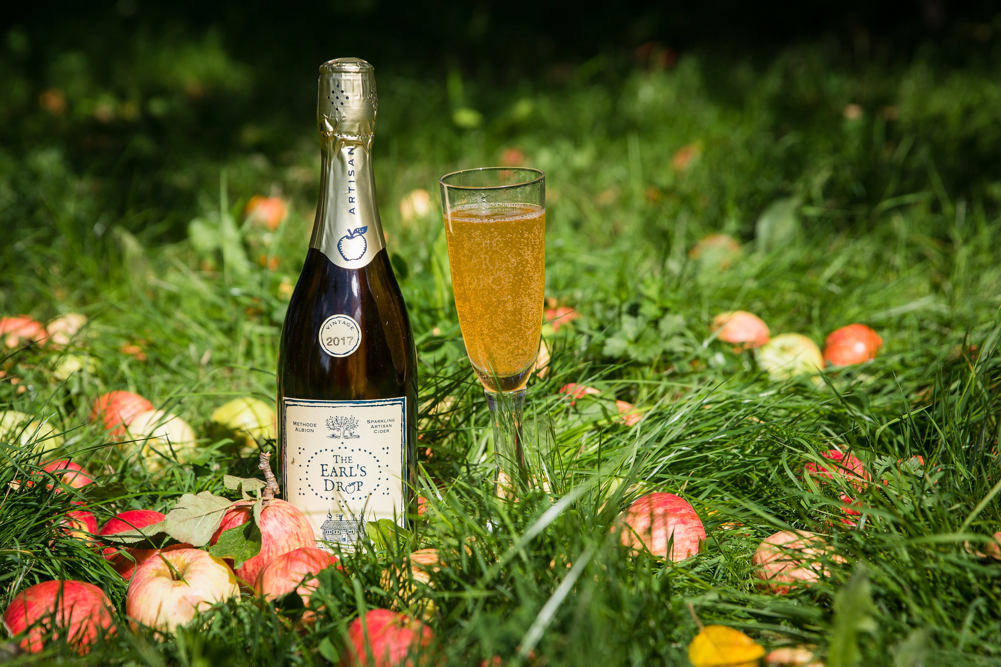 Glass of sparkling cider beside an open bottle in orchard 