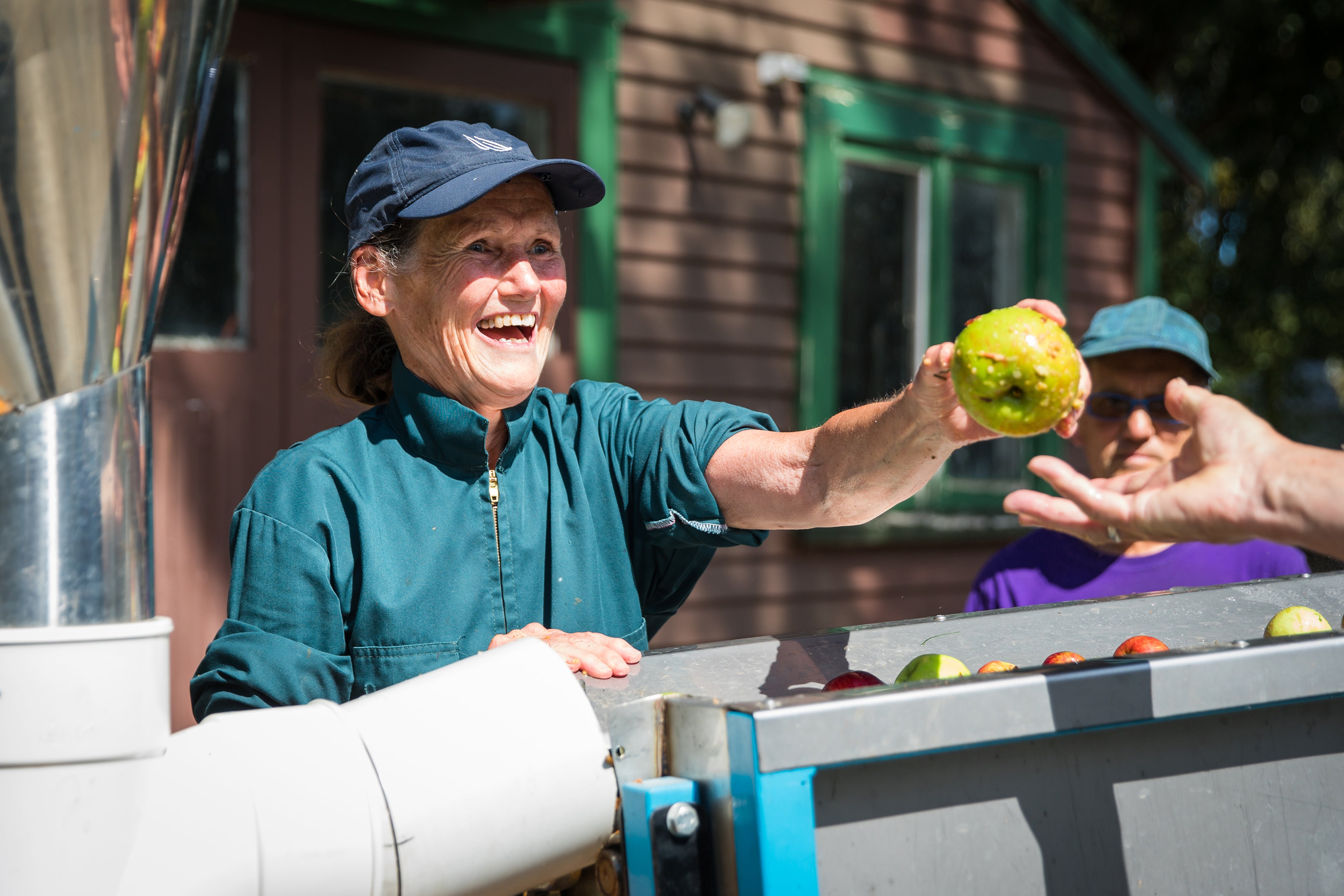 Owner passing an apple during apple sorting 