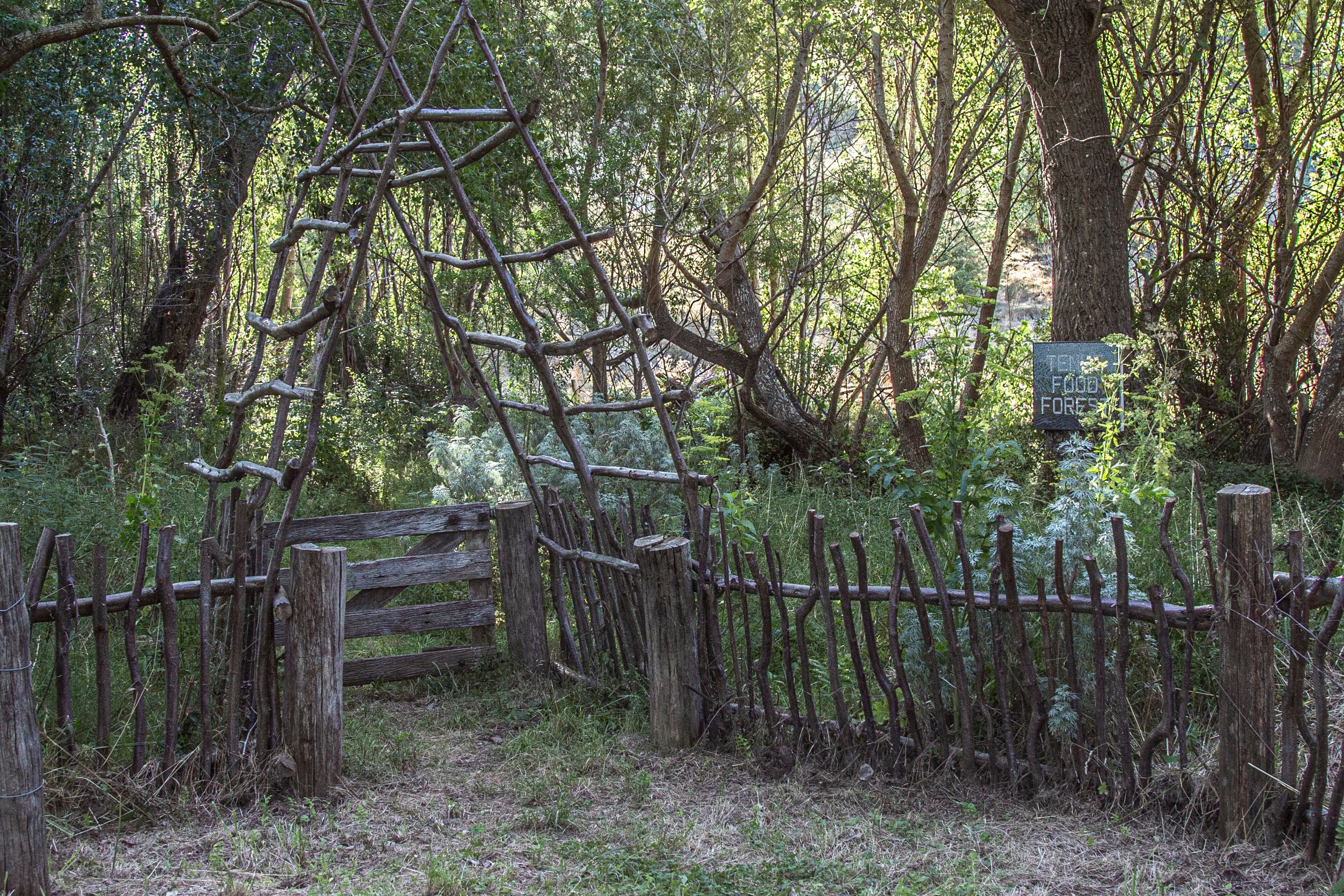 Wooded entrance way 