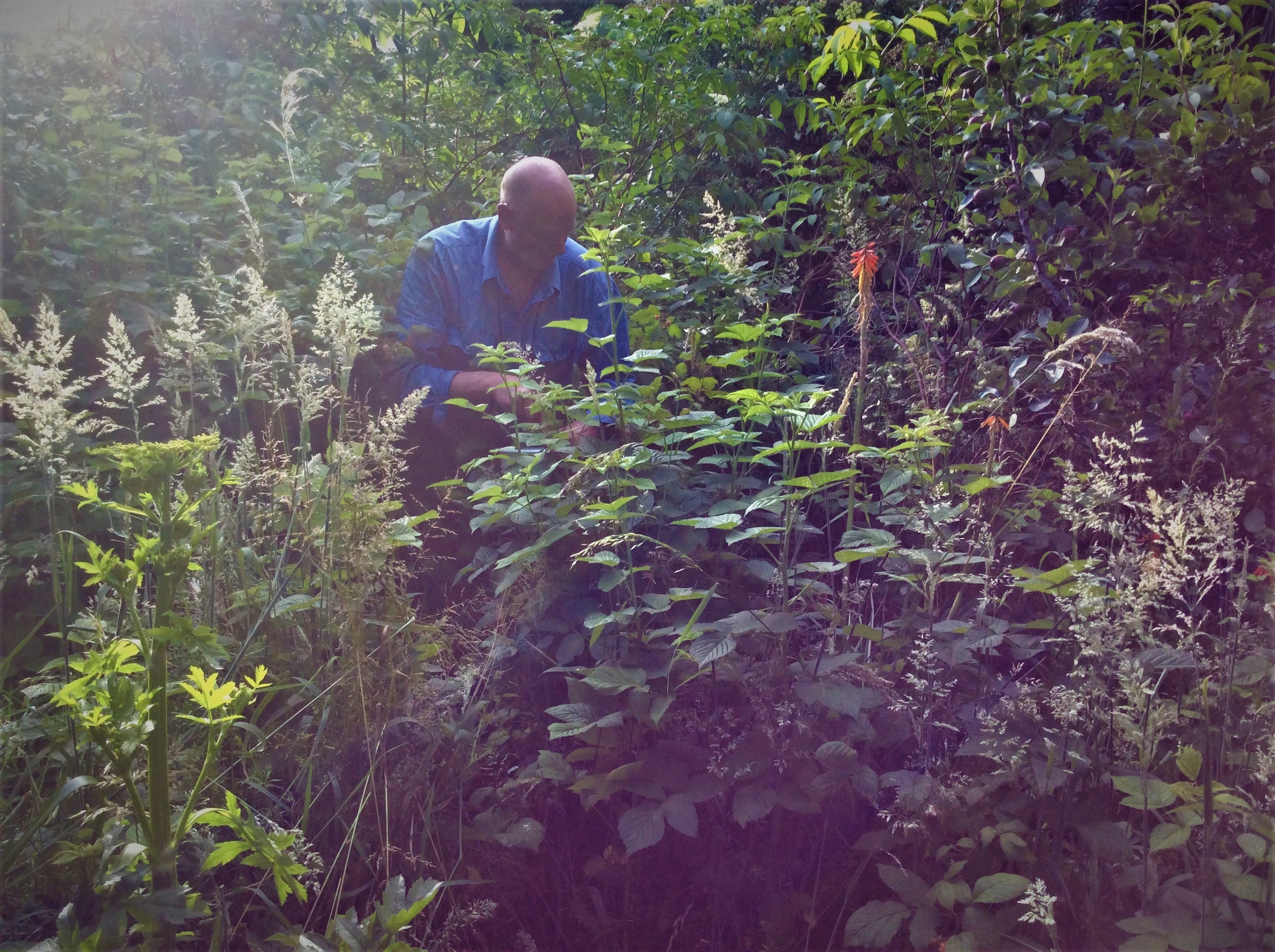 Man in garden during evening 