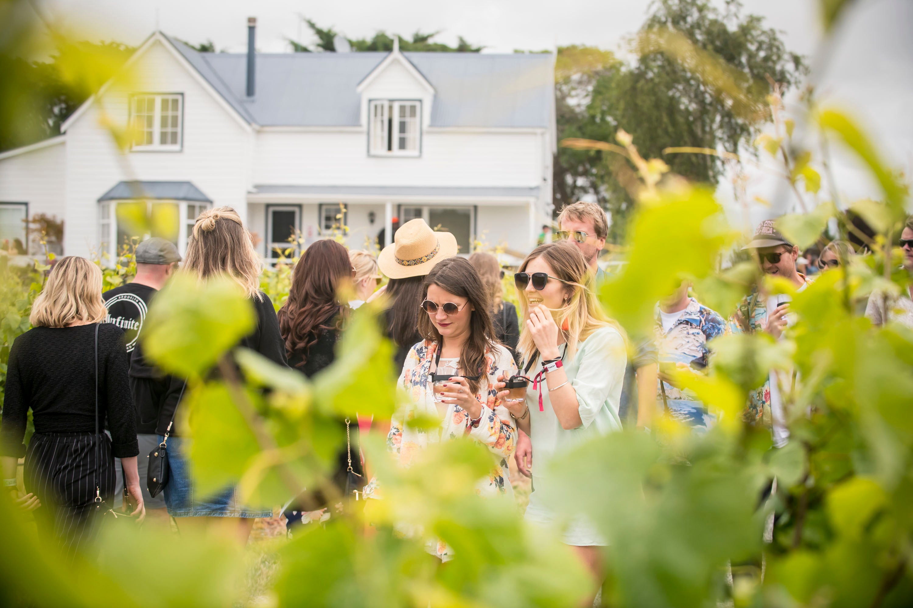 Toast Martinborough