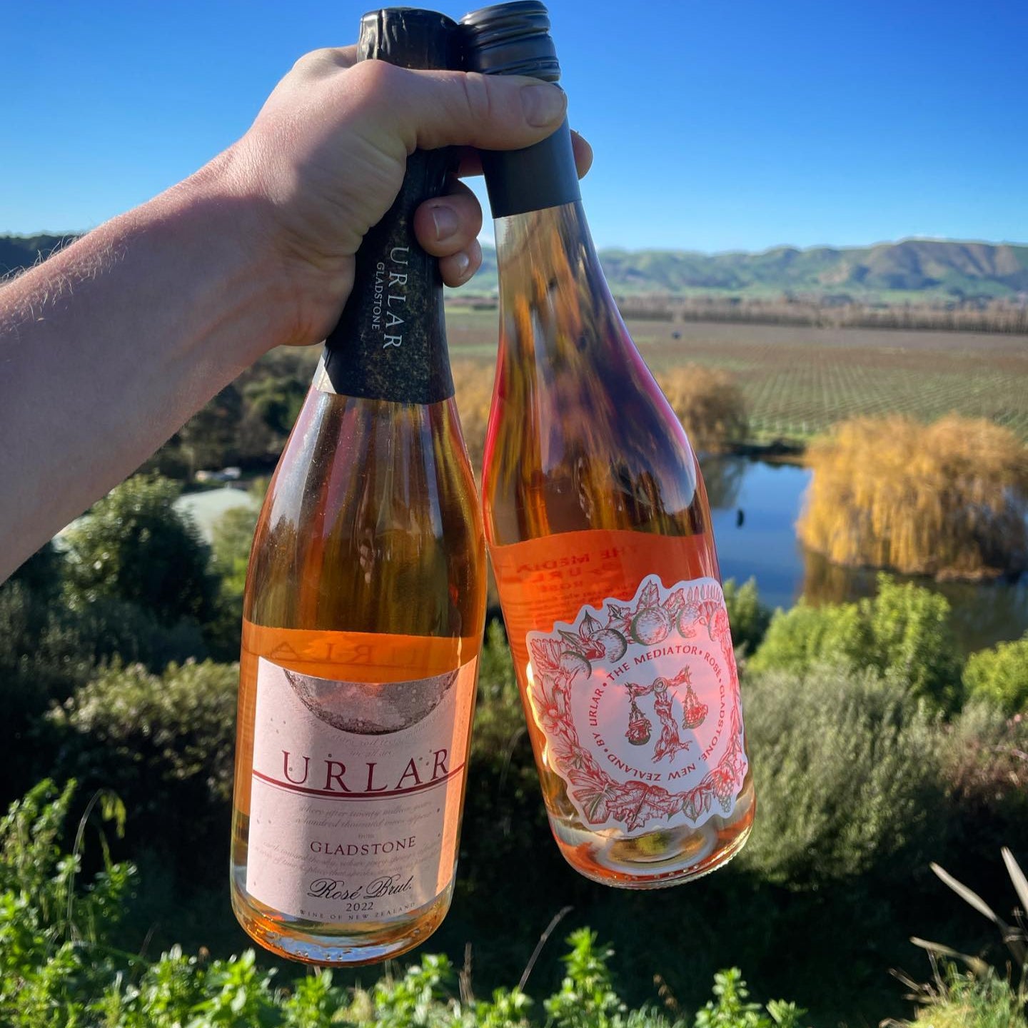 Man holding two bottles of wine overlooking vineyard 