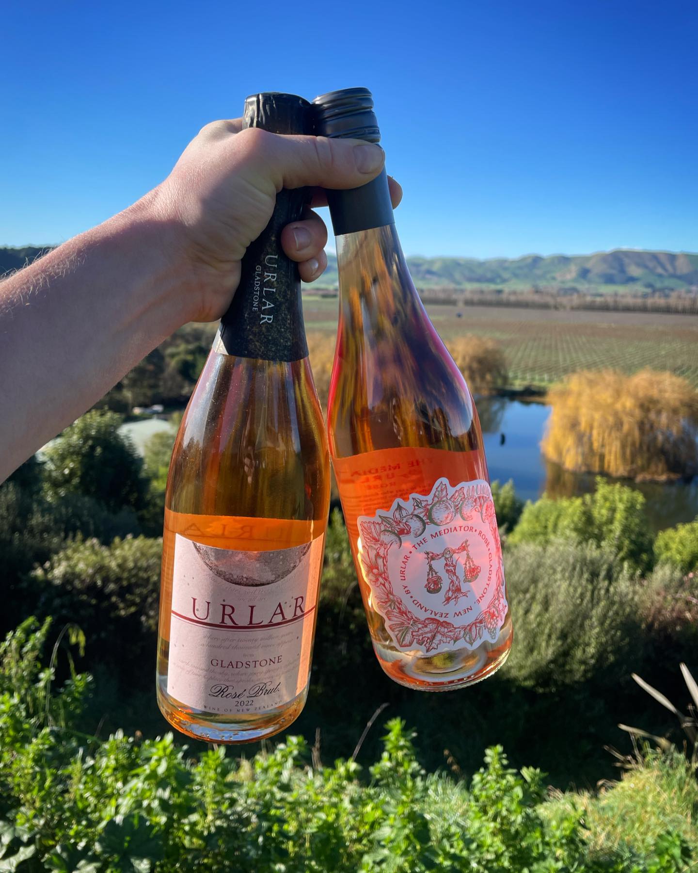 Man holding two bottles of wine overlooking vineyard 