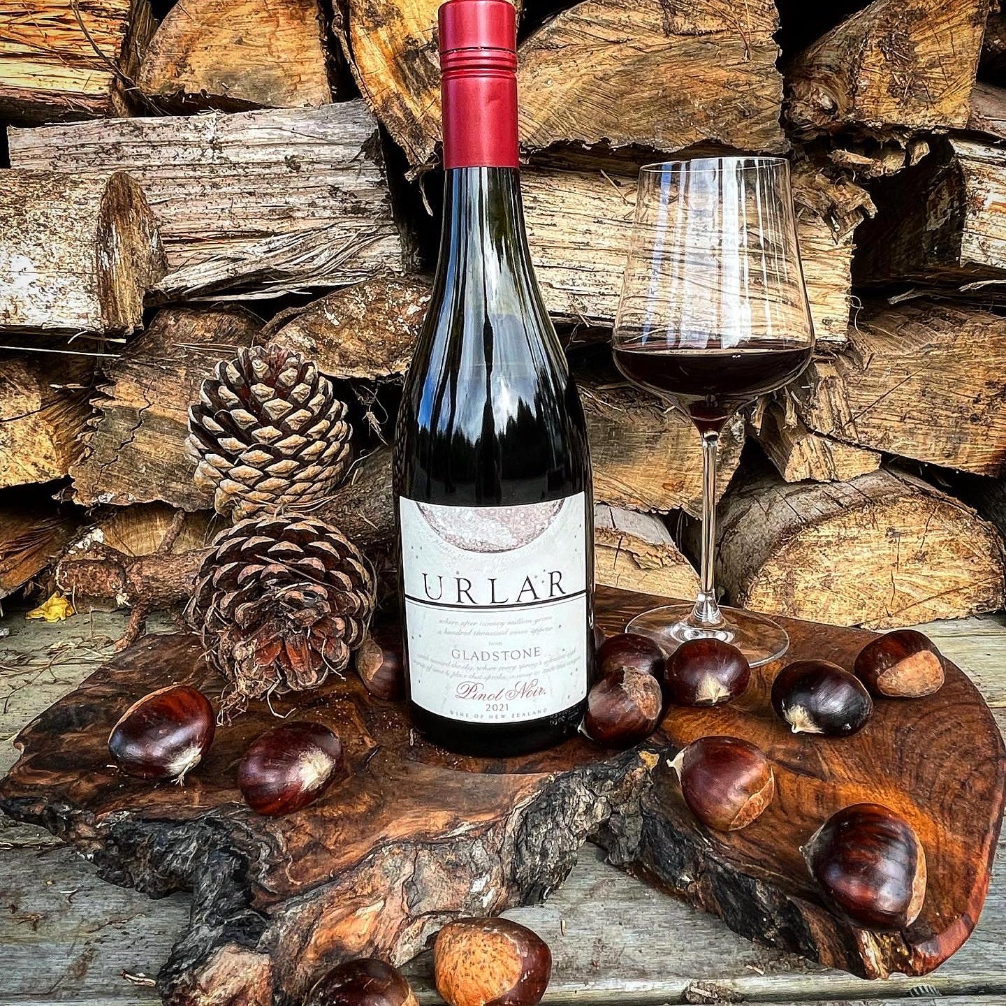 Bottle of red wine in front of wood & pinecones 