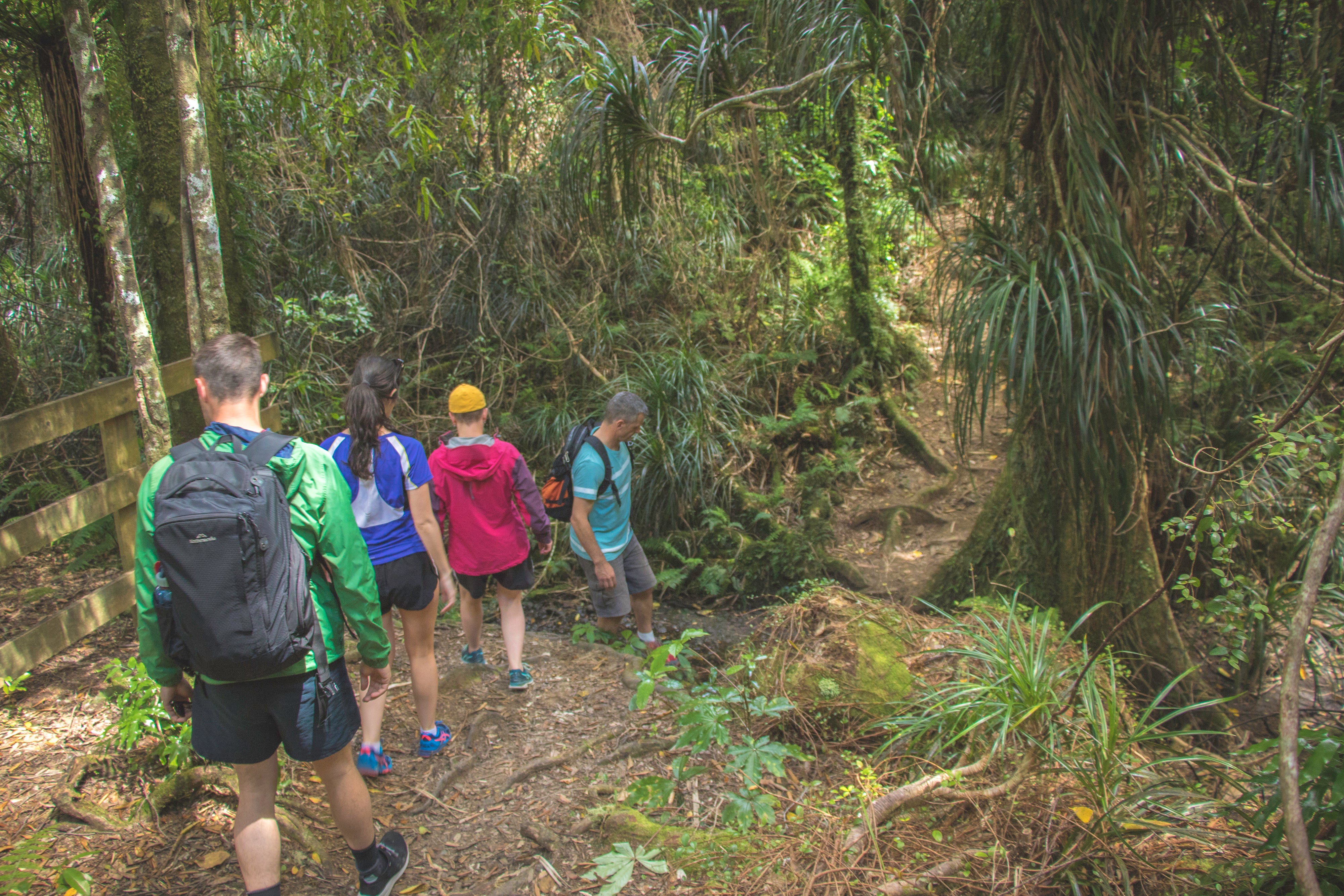 People walking on the bush track 