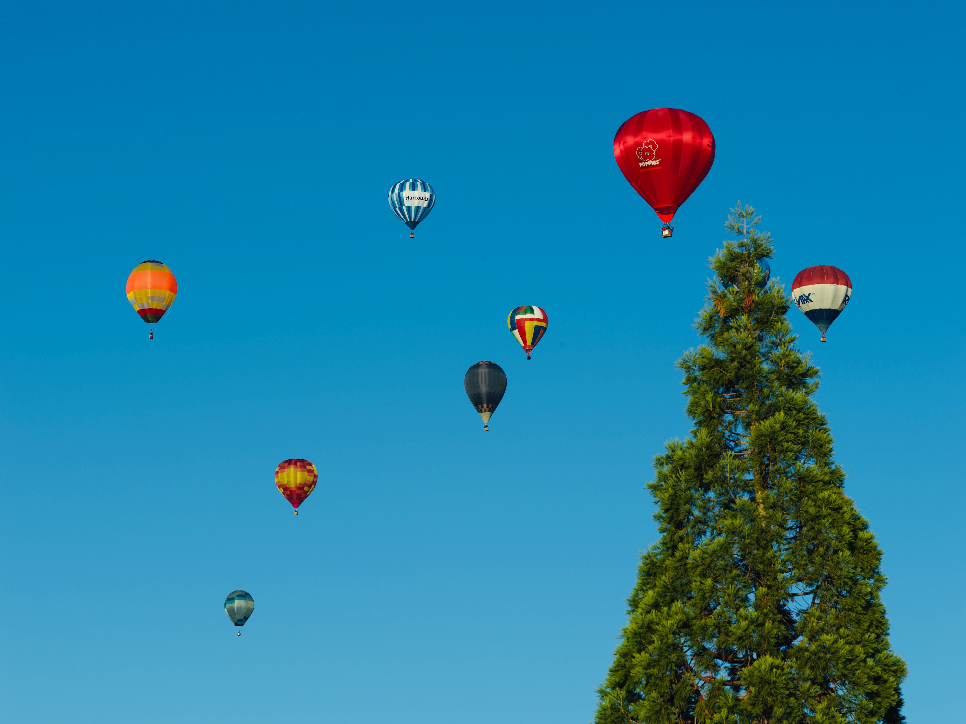 Wairarapa Balloon Festival