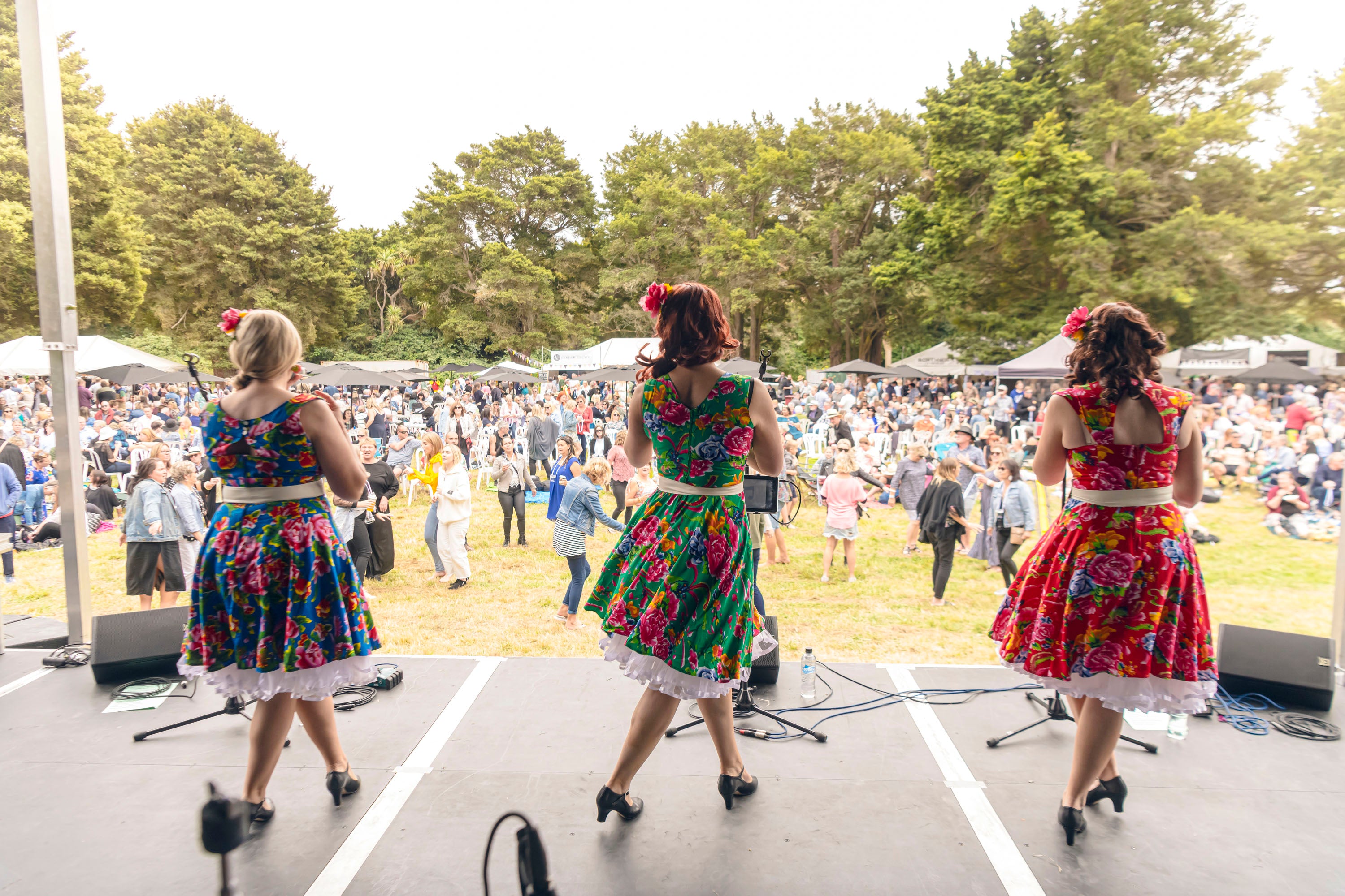 Wairarapa Wines Harvest Festival