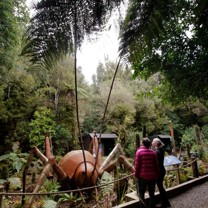 Te wahi Wētā: the Wētā place. Meet our 5 metre high Giant Wētā sculpture