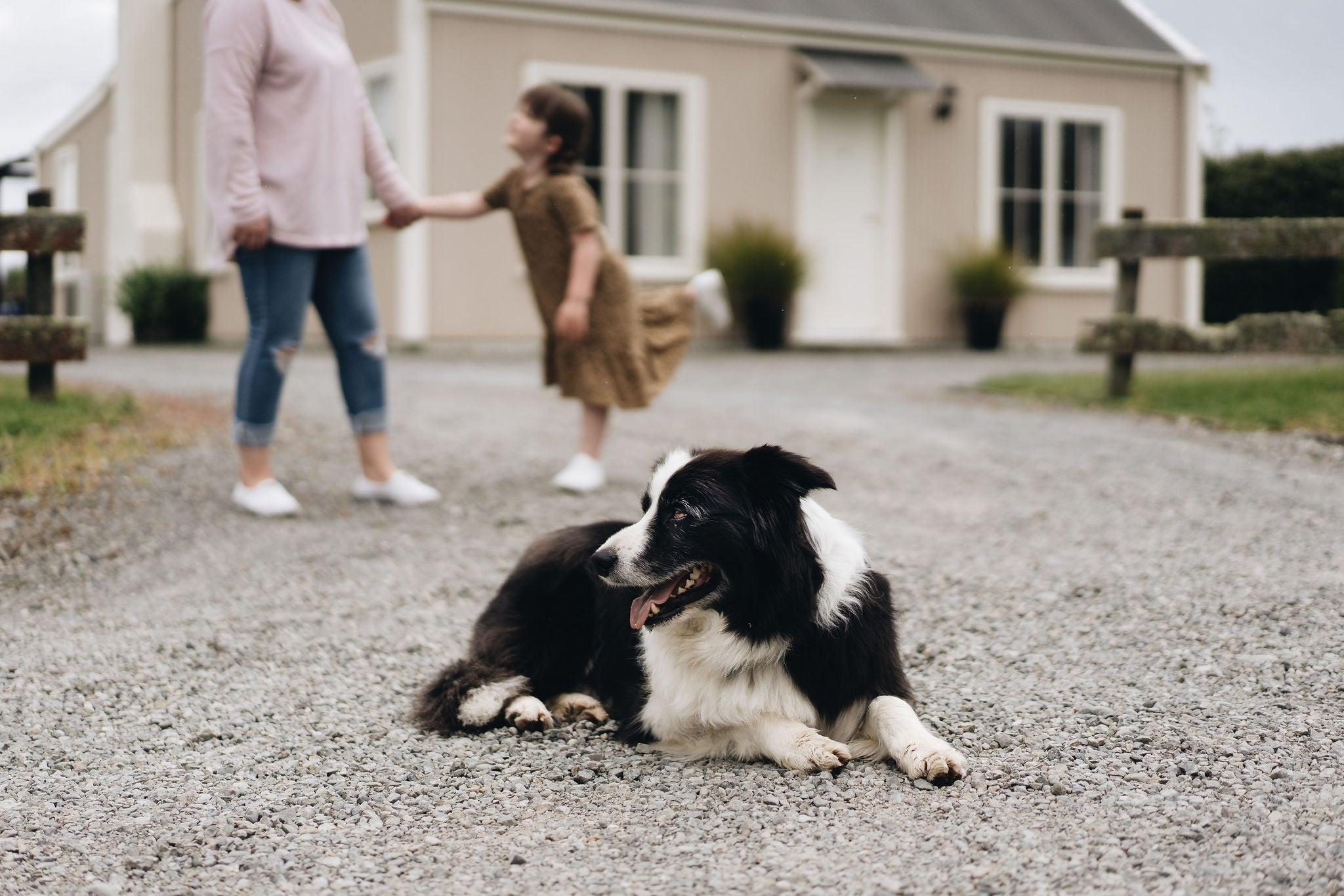 Dog Friendly 2 Bedroom Cottages