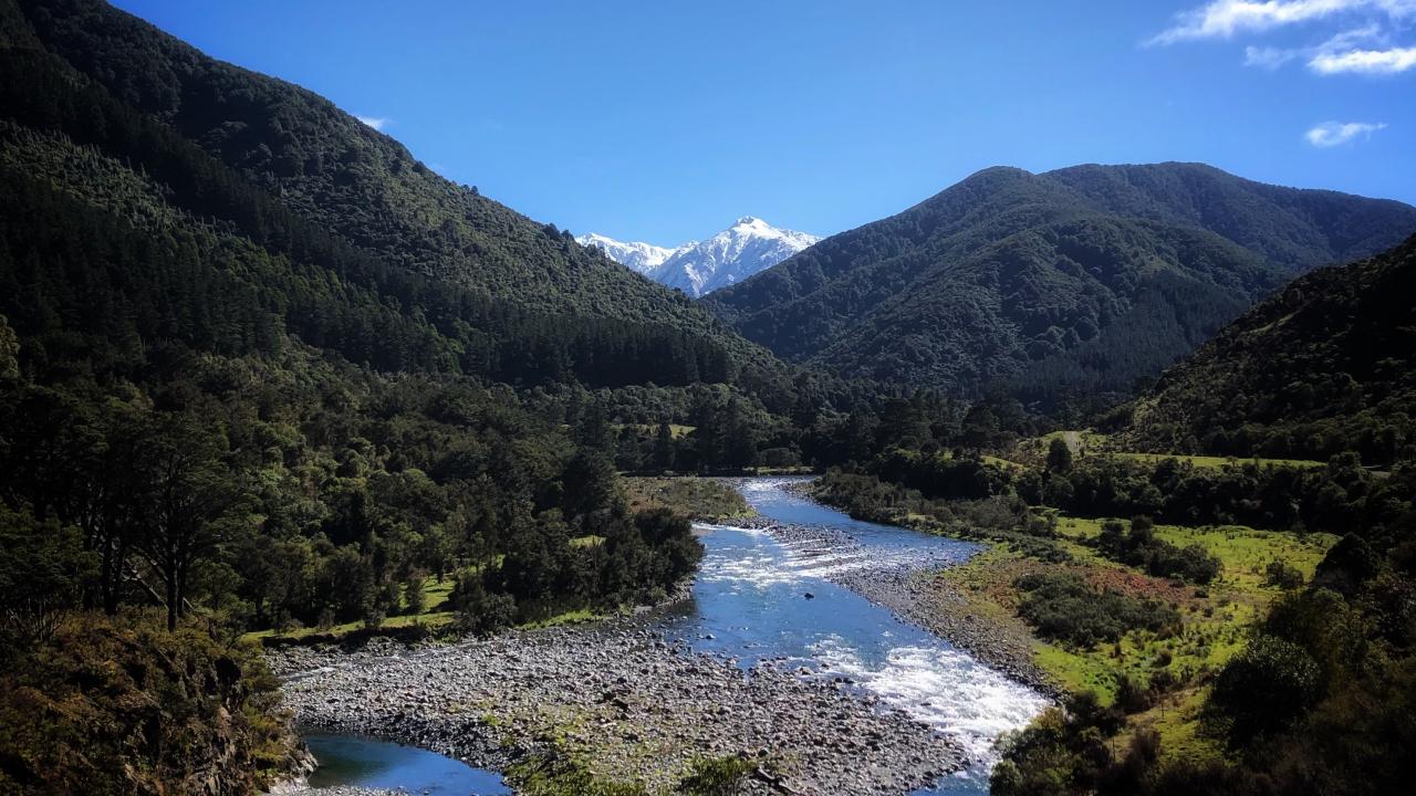 A lovely day walk, the entrance into the Tararua Forest park, minutes from the cottages. 