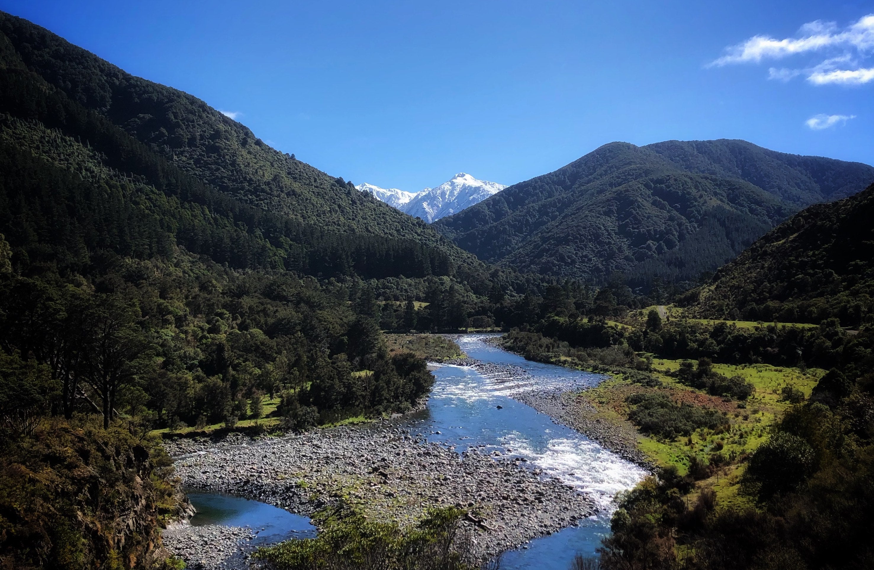 A lovely day walk, the entrance into the Tararua Forest park, minutes from the cottages. 