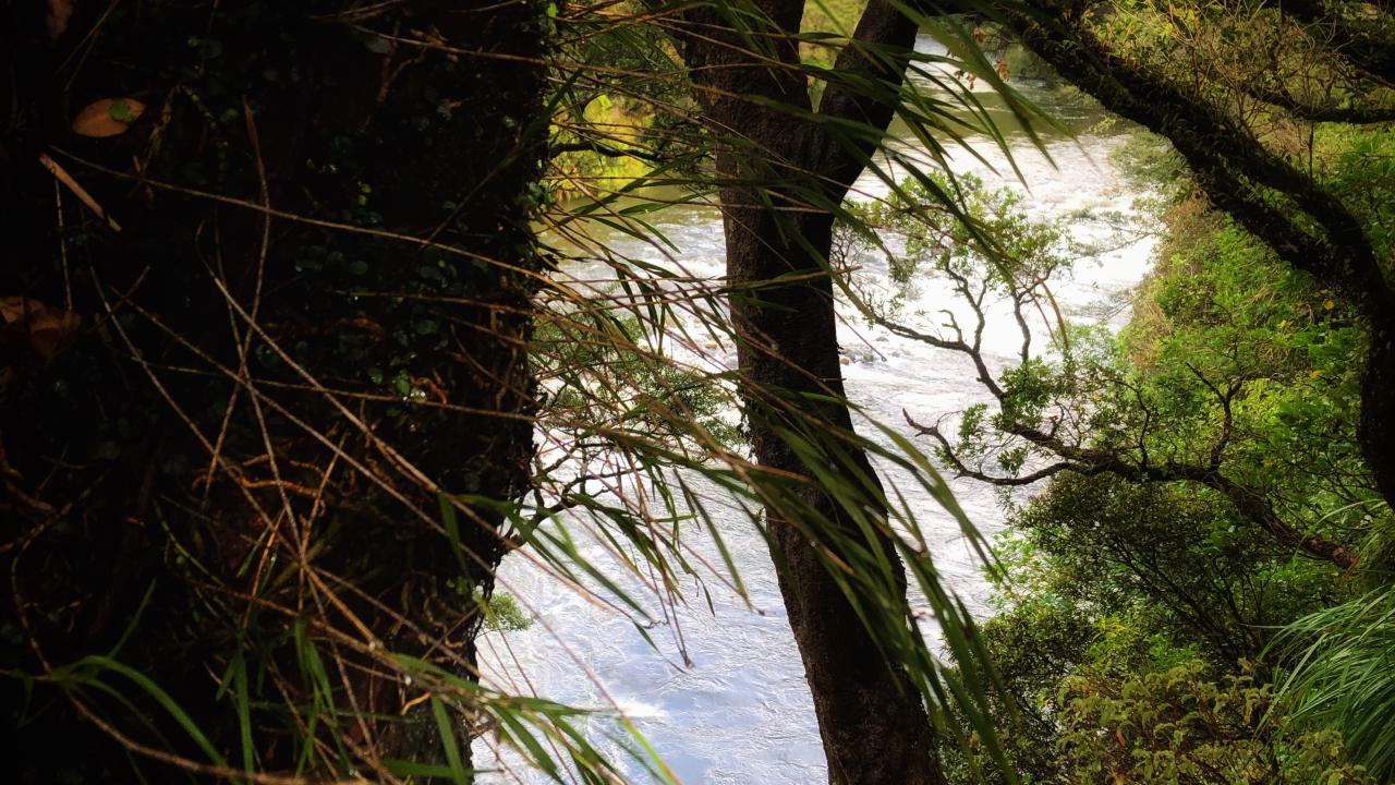 The stunning Waingawa river, as it tumbles out of the Tararua Ranges.