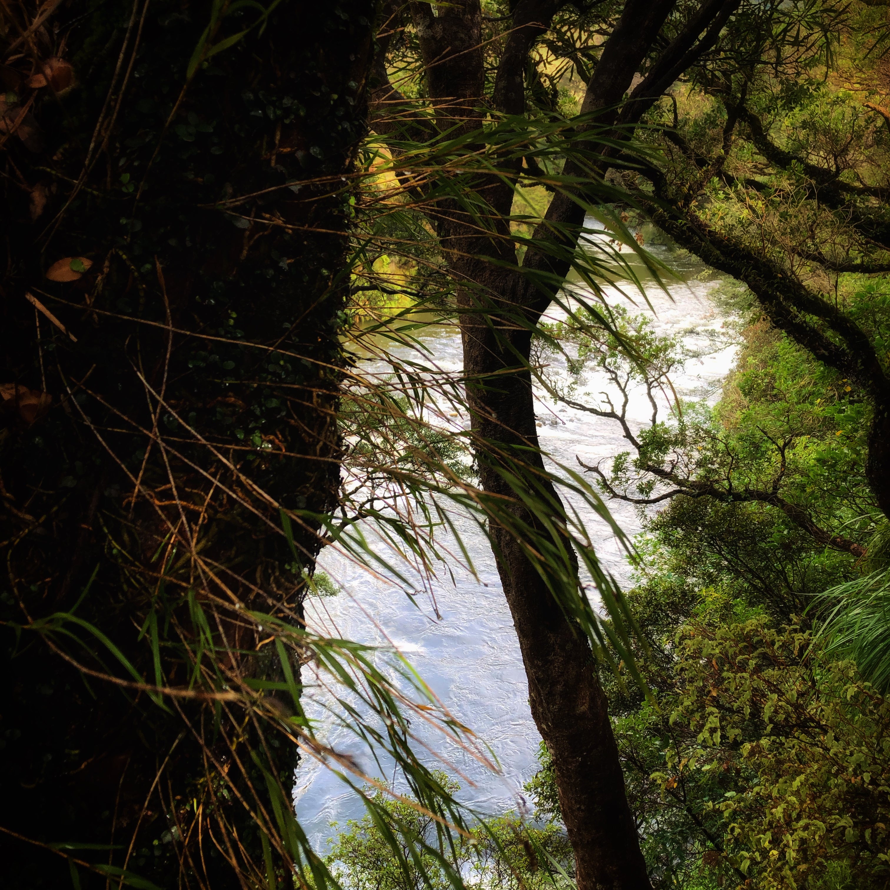 The stunning Waingawa river, as it tumbles out of the Tararua Ranges.