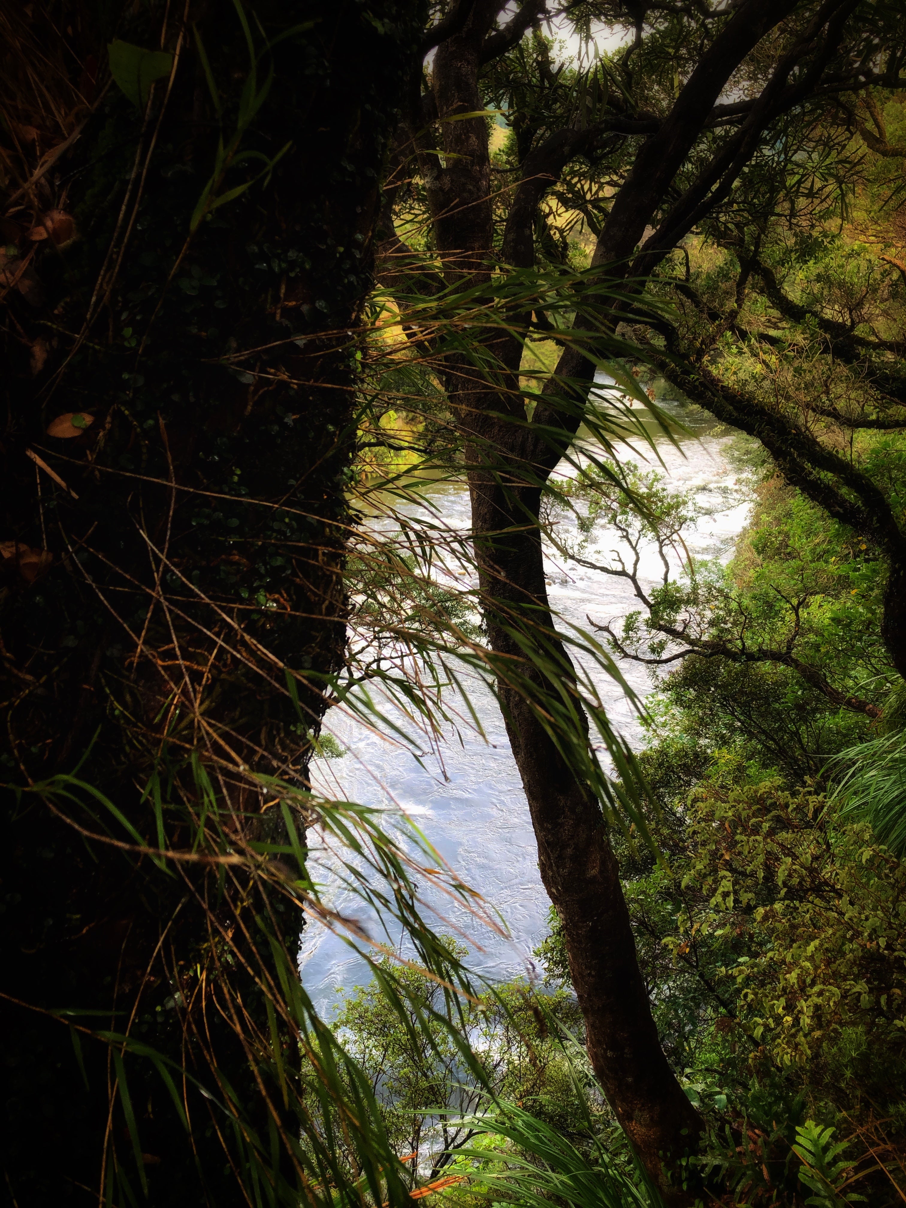 The stunning Waingawa river, as it tumbles out of the Tararua Ranges.