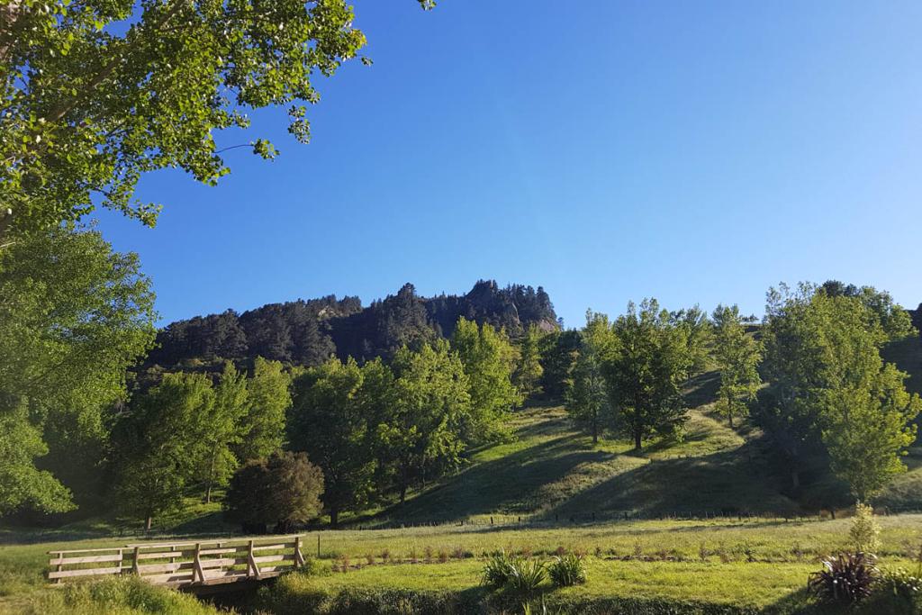 Tinui Pinnacles as seen from Poplar Cottage