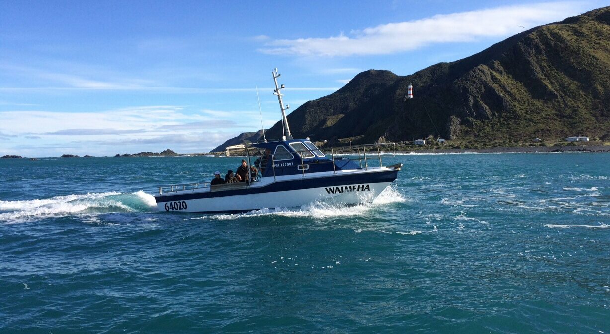 Boat charter and fishing