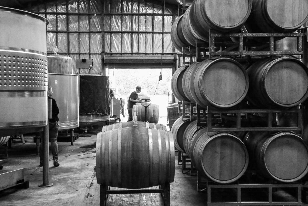 Barrels in the winery