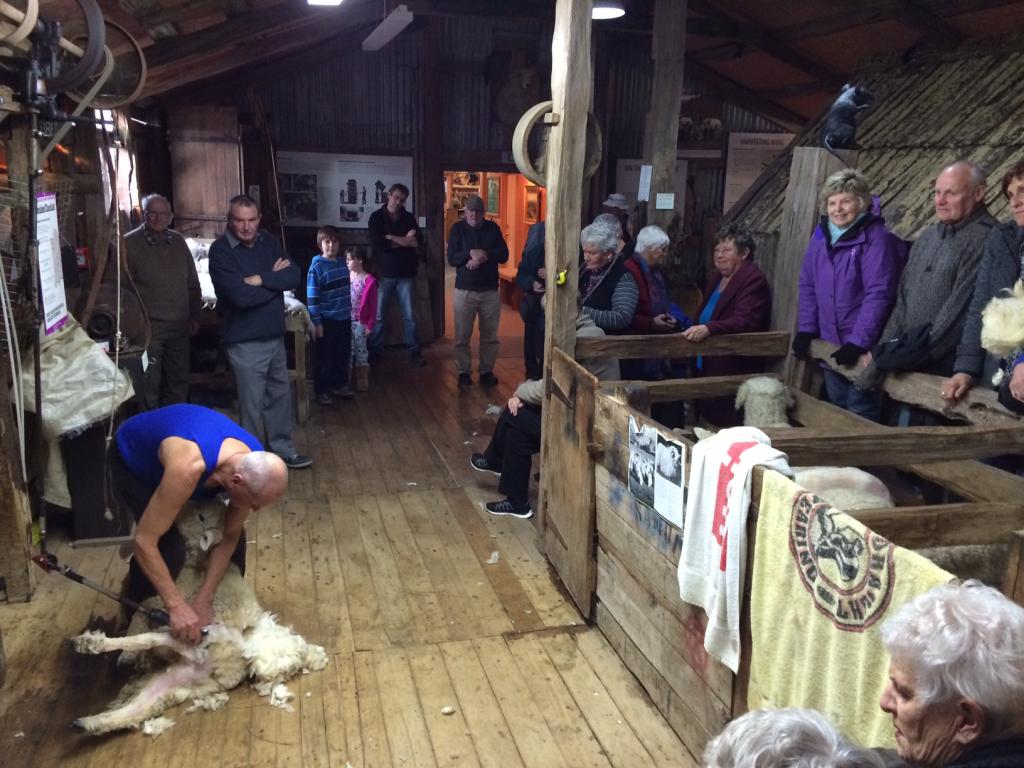 Shearing Display