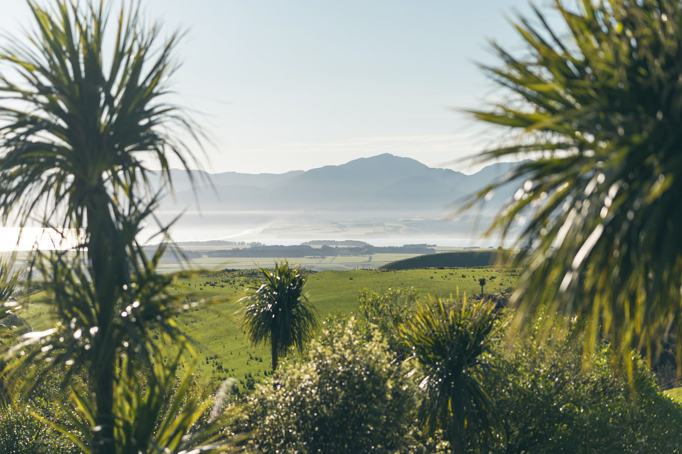 Surrounded by nature at the Kaikoura Lookout