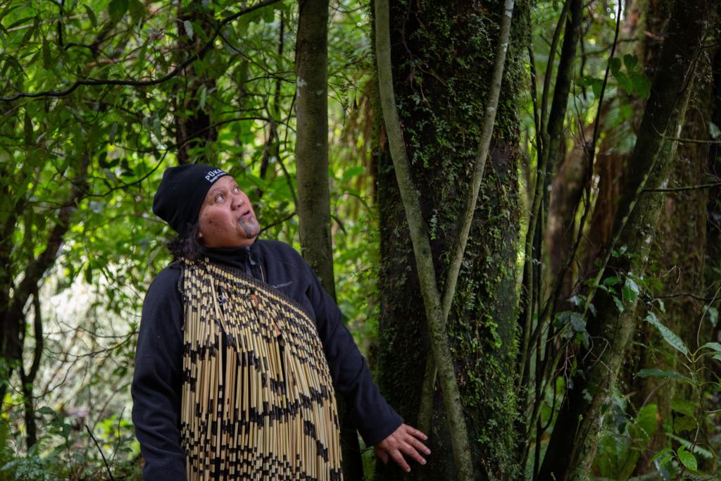 Te Hīkoi o Pūkaha Rangitāne o Wairarapa.