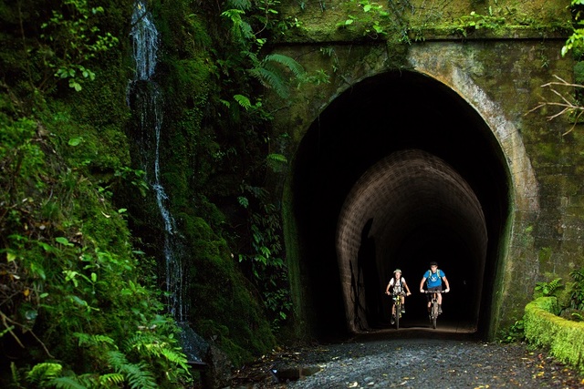 Remutaka Cycle Trail Tunnel