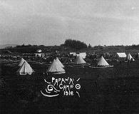 Papawai Camp 1918